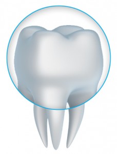 tooth crown dentist in Lafayette, CO and Boulder