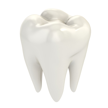 A graphic image of a tooth.